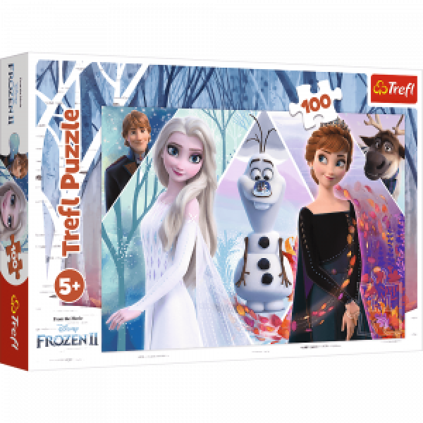 Trefl 16418 Puzzles - "100" - Enchanted Land   Disney Frozen 2