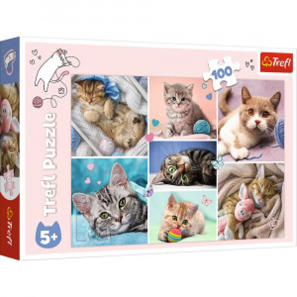 Trefl 16420 Puzzles - "100"  - In the cat world