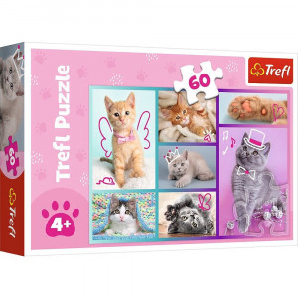 Trefl 17373 Puzzles -  "60"- Cute cats/ Trefl
