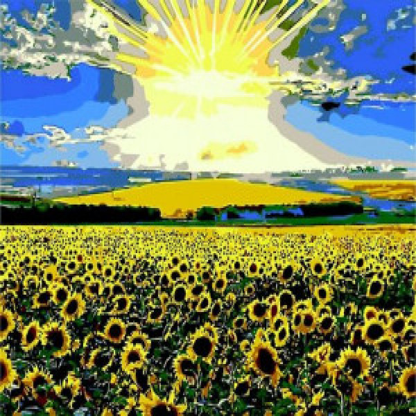 ZB.64103 Pictura pe numere  Camp de floarea soarelui, 40*50 cm, ART Line