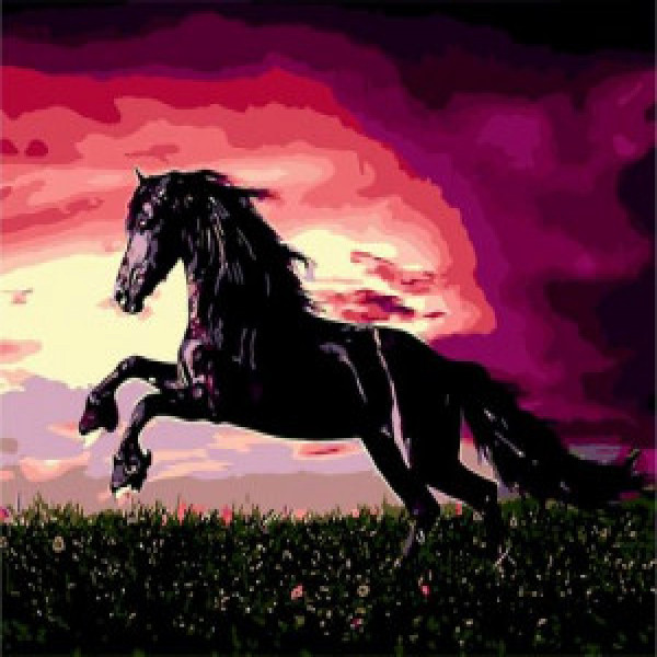 ZB.64249 Pictura pe numere  "Negru la apus", 40*50 cm, ART Line