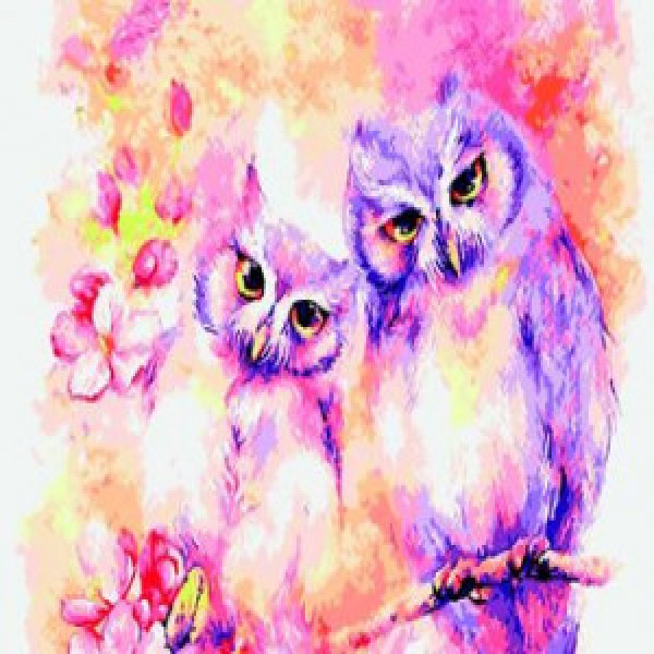 ZB.64253 Pictura pe numere  Bufnite, 40*50 cm, ART Line