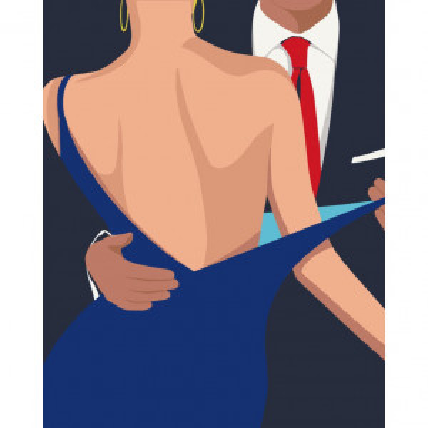 10024-AC Pictura pe numere Флирт 40*50 см