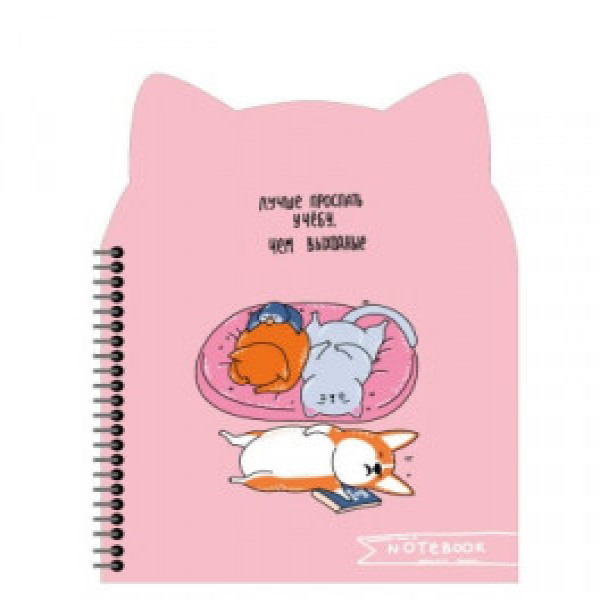 Notebook   СЛАДКИЕ СНЫ 62749
