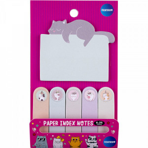 Notite in figuri 80201 Centrum 6cul. 25foi