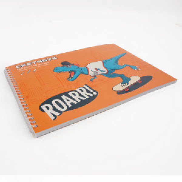 Album desen 40 foi Sketchbook. FreeStyler ТС2ЛК405021 spirala