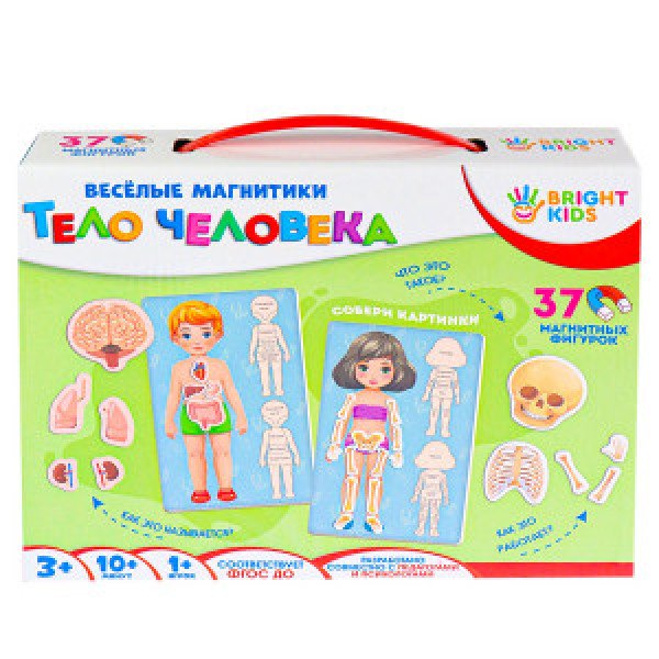 BRIGHT KIDS. Joc educativ cu magniti ТЕЛО ЧЕЛОВЕКА Арт. (ИН-5520)
