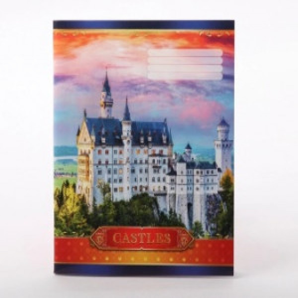 CAIET 60 foi linie (12)