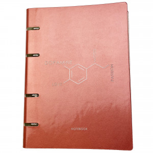 Caiet A5 120f inele PEARL. Розовый ПБИФ1204912