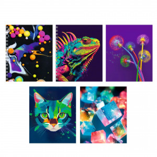 Caiet A5 48f Яркое настроение ТС2Л488825 patr spirala