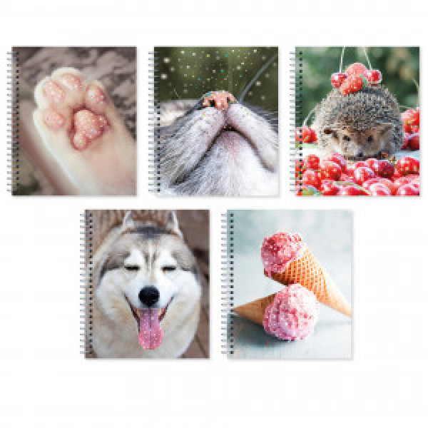 Caiet A5 48f Блестящие и милые ТСБ488818 patr spirala