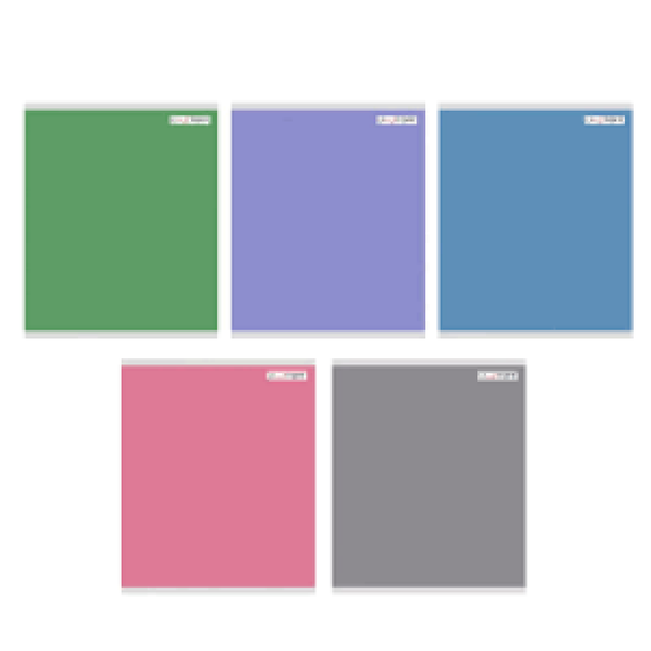 Caiet A5 48f Деловой стиль ТЛ489026 linie