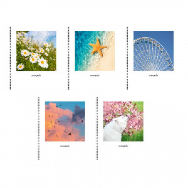 Caiet A5 60 foi ТСЛ608800 Природный микс linie spirala