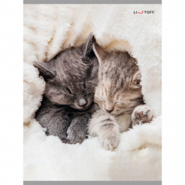 Caiet conspecte A4 48f Т4485102 Пушистый сон patr