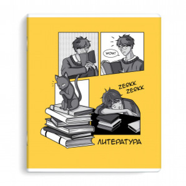 Caiet pentu Literatura A5+ 48 foi АНИМЕ ЛИТЕРАТУРА 63431/50