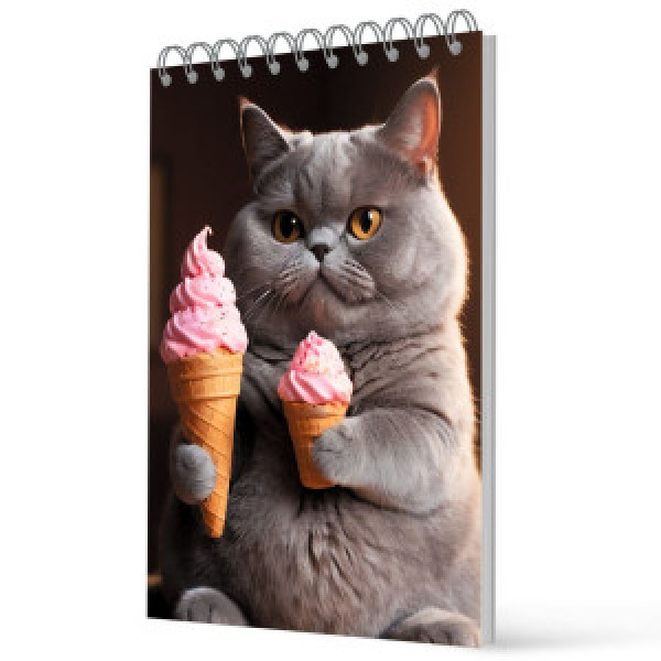 Carnet A7 60 foi Котик БСК740355 spirala patr