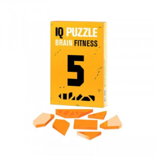 IQ Puzzle "Number 5" 1491