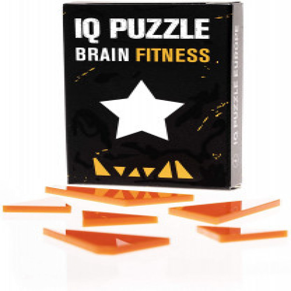 IQ Puzzle Star (6 pieces) art.173