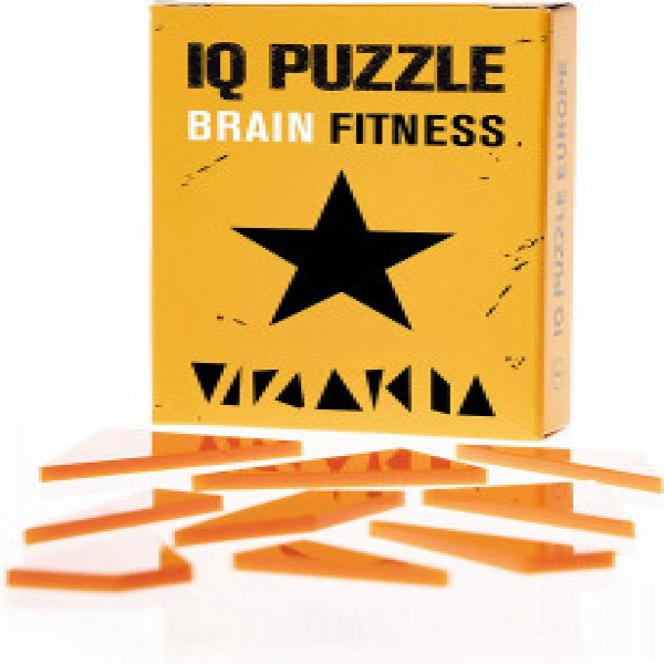 IQ Puzzle Star (9 pieces) art.0166
