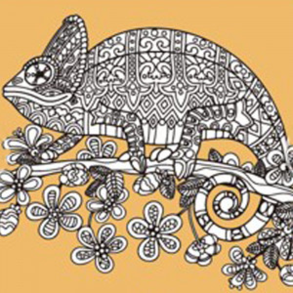 Pictura pe numere-antistres JCEE37104 Хамелеон на гіллі 30х30см