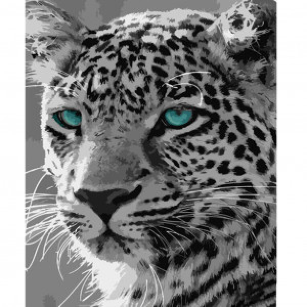 Pictura pe numere (HH029) Ghepard alb-negru 40х50 см