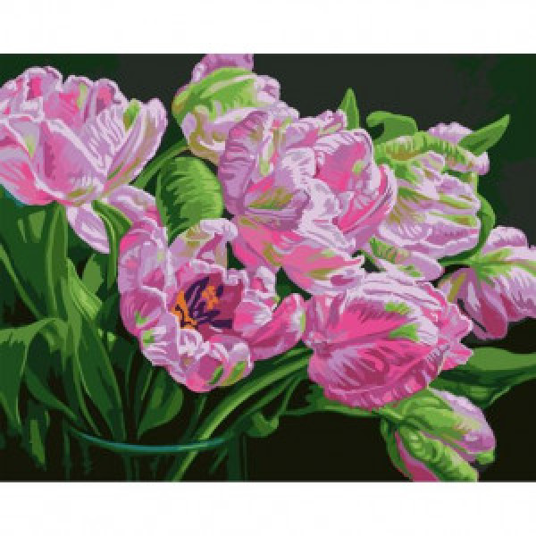 Pictura pe numere SANTI Изысканные тюльпаны 40*50 см_954500