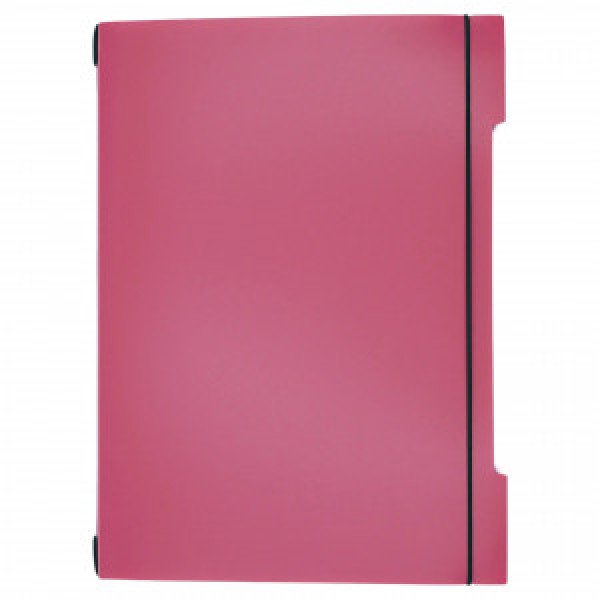 Set 2 Caiete A4 48f DoubleBook. Вересковый ТПДБ496225 patr