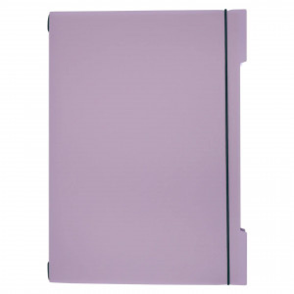 Set 2 Caiete A4 48f DoubleBook. Лавандовый ТПДБ496223 patr