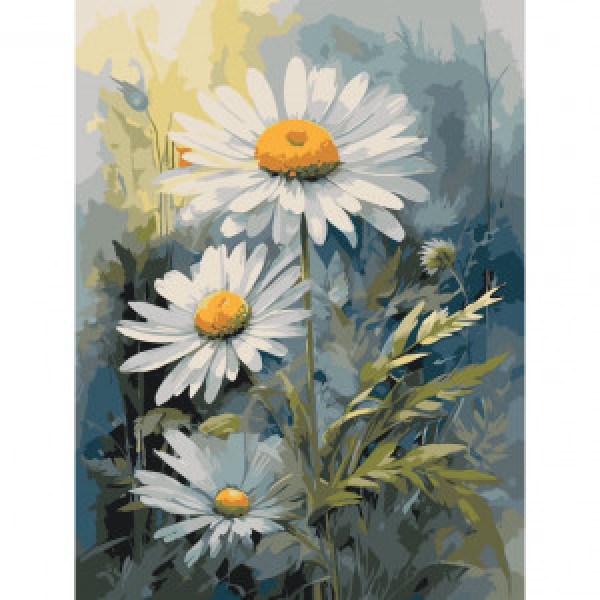 13101-AC Pictura pe numere Белые ромашки 40*50 см