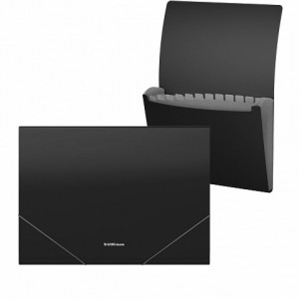 59246 Mapa с 13 отделениями на резинке ErichKrause Matt Classi A4, black (4 pcs in a bag)