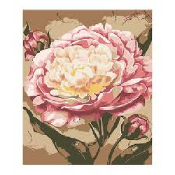 89690 Mozaic cu diamante + Pictura pe numere Bujori 40x50